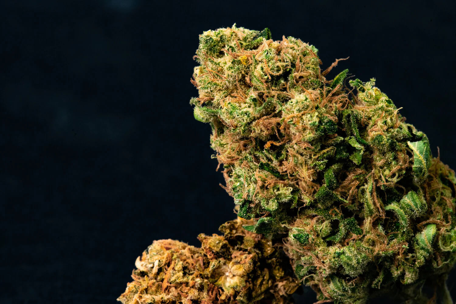 HHC Vs THC: Understanding The Main Differences