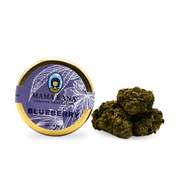 Bleuet CBD 🍇 [Serre]